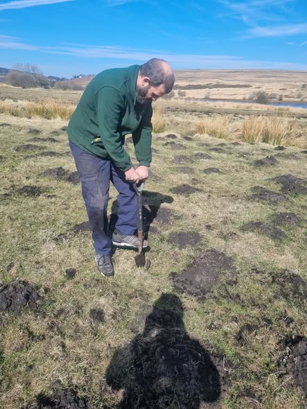 Mole catching and rat control on Merthyr farms